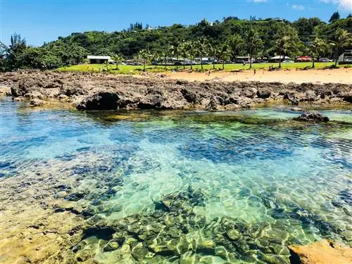 Shark's Cove North Shore, пляжи Оаху для семей
