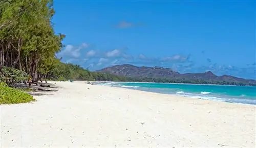 Знаменитый вид на пляж Вайманало на юго-востоке Оаху, Гавайи, пляжи Оаху для семей