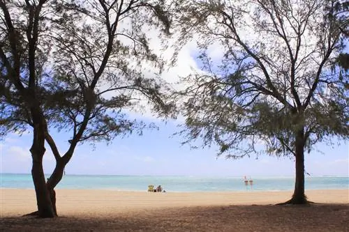 Waimanalo Beach Park, Оаху, Гавайи, пляжи Оаху для семей
