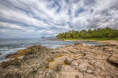 Райская бухта. Ко Олина, Гавайи, пляжи Оаху для семей