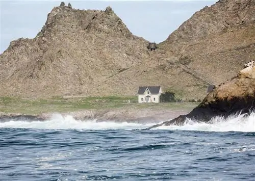 Самые крутые и эклектичные острова залива Сан-Франциско