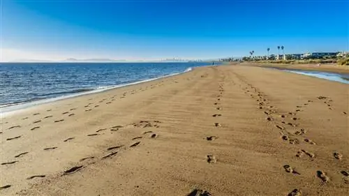 Государственный пляж Crown Memorial в Аламеде, Калифорния, острова в заливе Сан-Франциско.