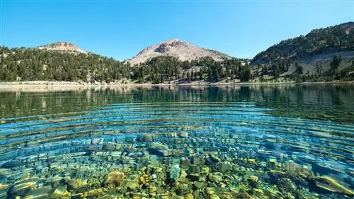 Четыре наименее посещаемых национальных парка Калифорнии являются одними из самых веселых мест в США. Вот почему