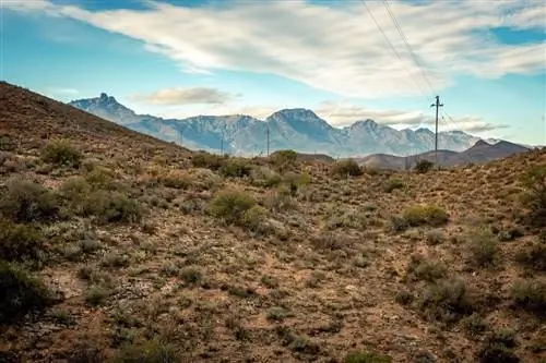 Пейзаж Ладисмита Южная Африка, путешествие по Южной Африке