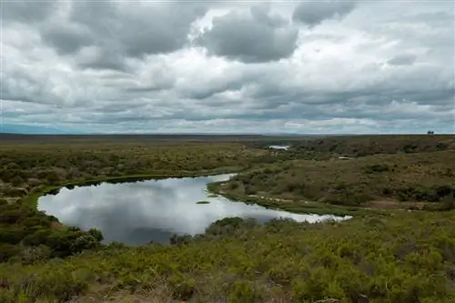 Национальный парк Бонтебок, Южная Африка, автопутешествие по Южной Африке