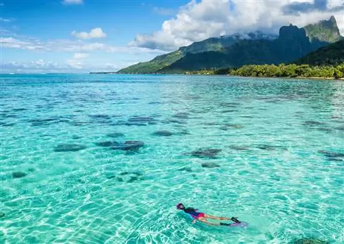 8 незабываемых впечатлений во Французской Полинезии: от гребли на ваа до дайвинга с орлиными скатами