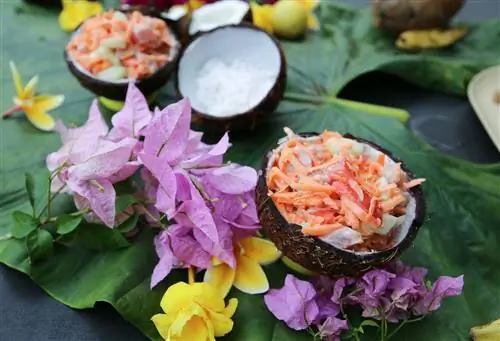 Французская Полинезия путешествия пуассон крю