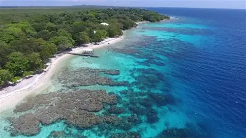 Чудеса природы в зоне риска-Mesoamerican-Barrier-Reef-1624263010, Чудеса природы в зоне риска