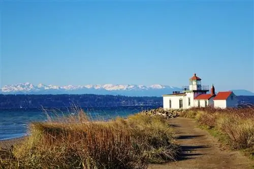 Discovery-park-Seattle-Washington-Hikes-577694029, городские пешеходные тропы