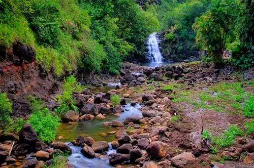 Kid-friendly-hikes-on-Oahu-Waimea-Falls-207769374, Походы для детей на Оаху