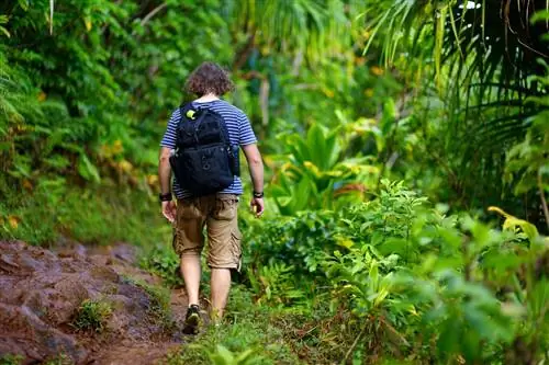Kid-friendly-hikes-on-Oahu-Likeke-Falls-Hike-585893756, Походы для детей на Оаху