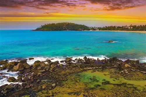 parrot-rock-sri-lanka-1780779368, Пляжи Шри-Ланки