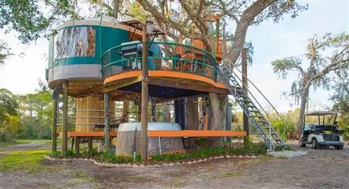 treehouse-danville-worlds-most-amazing-vacation-rentals, Самые удивительные дома для отпуска в мире