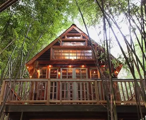 alpaca-treehouse-worlds-most-amazing-vacation-rentals, Самые удивительные дома для отпуска в мире