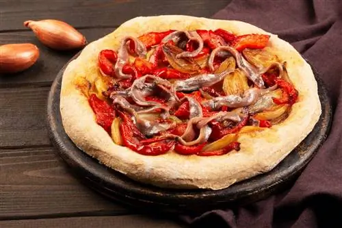 испанская пицца с кокой испанская пицца с кокой