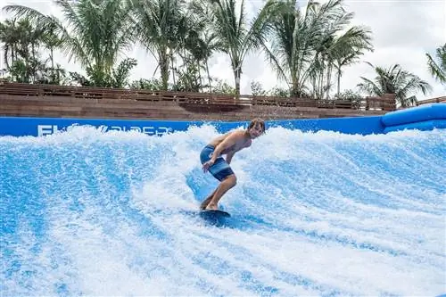 Баха Бэй симулятор серфинга