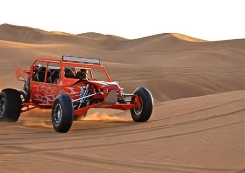 10 эпических приключений на свежем воздухе в Дубае после катания на верблюдах