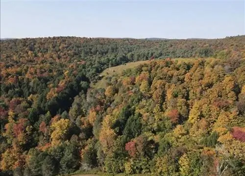 ферма Маунт Вижн Нью Йорк airbnbs чтобы увидеть осеннюю листву