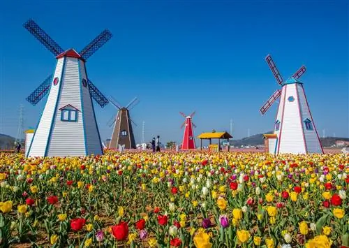 Это путешествие приведет вас в самые европейские города на Среднем Западе Америки