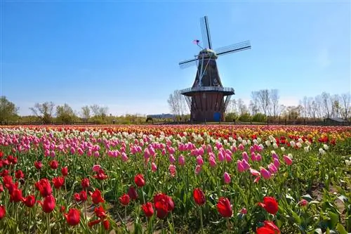 самые европейские города в америке Ветряная мельница в Голландии Мичиган