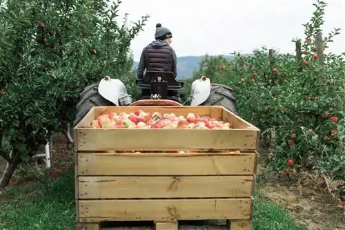 6 незабываемых осенних впечатлений в Келоуне, Британская Колумбия