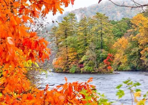 Пришло время открыть для себя безмятежные, малоизвестные «другие» Беркширы Новой Англии