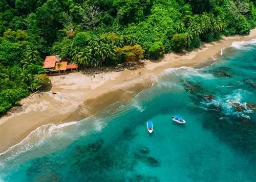 Брачный ретрит в Коста-Рике поднимает семейное консультирование на новый уровень