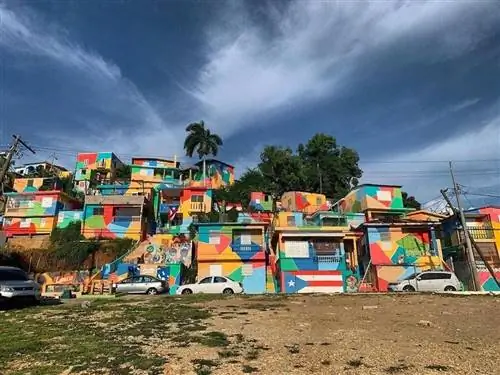 Стрит-арт в Рио-Гранде, Пуэрто-Рико