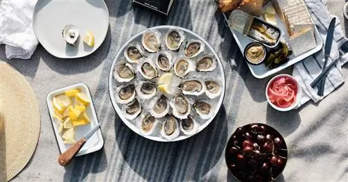 Попробуйте щедрость побережья Америки с этими устойчивыми продавцами морепродуктов, которые напрямую к вам