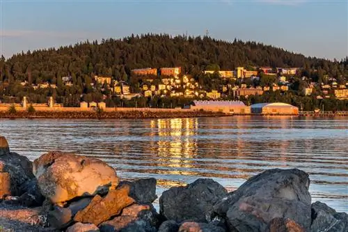 беллингем вашингтон закат