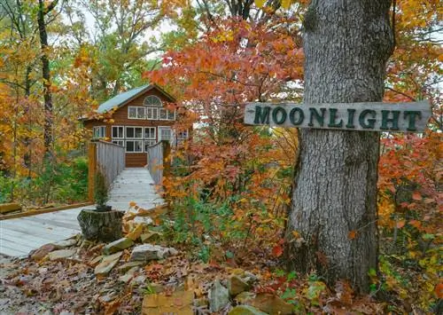 8 незабываемых мест, где можно остановиться во время поездки в Миссури