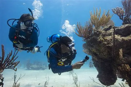 научиться делать подводную фотосъемку