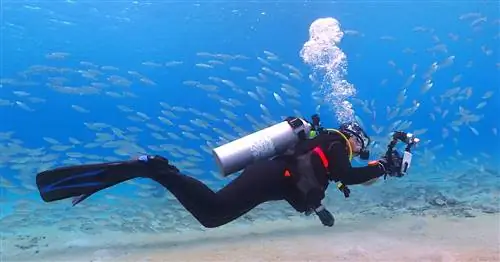 6 одобренных фотографами советов по созданию идеальных подводных снимков