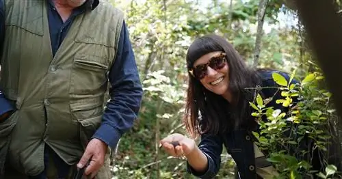 Каково это – отправиться на охоту за трюфелями в Италии с «Джулио трюфелем» из Тосканы