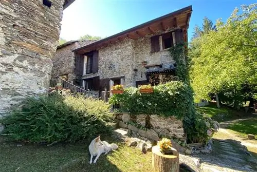 Эко-дом Sunset View Airbnb снаружи с собакой, озеро Комо Airbnbs