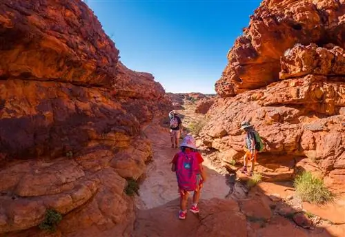 The-Red-Centre-Way-Kings-Canyon