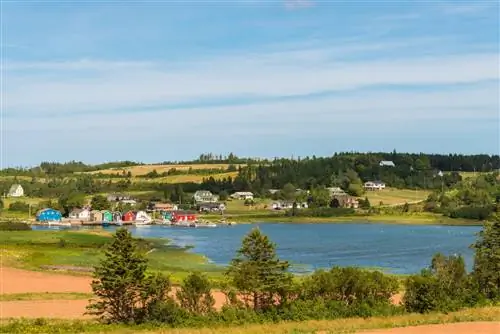PEI_Литературные направления