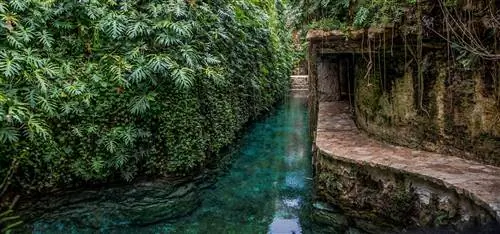 В Hacienda Mucuyche, возможно, не самые лучшие пляжи в Мериде, Мексика, но здесь есть одни из лучших сенотов.