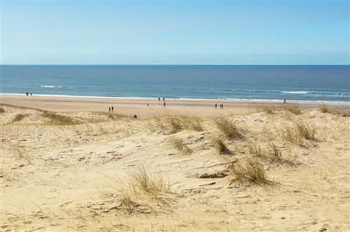Bloemendaal aan Zee - нудистский пляж в Нидерландах.