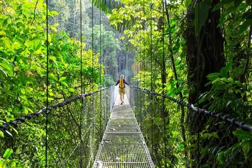 Цифровые кочевники-визы-Коста-Рика_1006962364