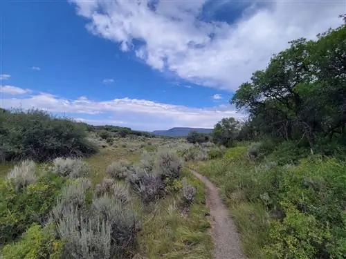 Uplands Trail_Черный каньон Ганнисона, походы
