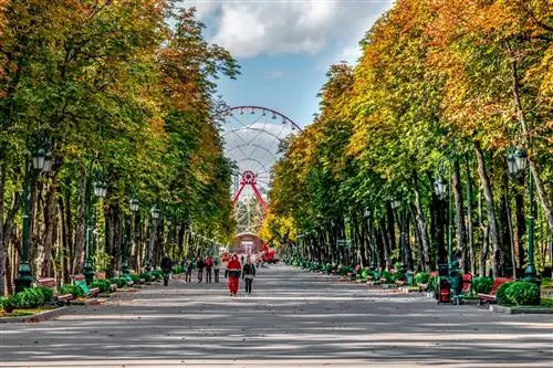 Парк Горького Украина