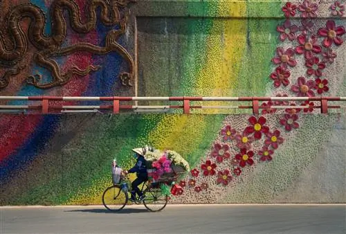 Тхань Нгуен Фук, Sony World Photography Awards