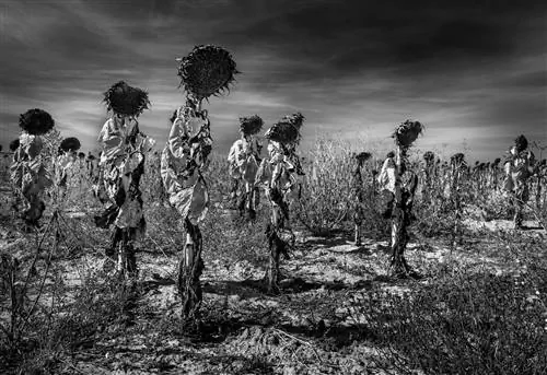 Висен Ансола, Испания, Sony World Photography Awards