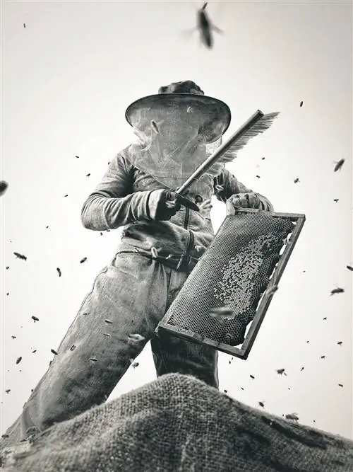 Утсаб Ахамед Акаш, Бангладеш, Sony World Photography Awards
