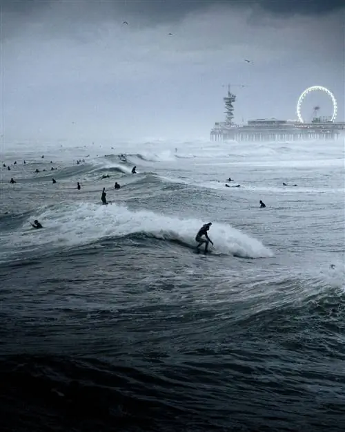 Райдо Нурк, Эстония, Sony World Photography Awards