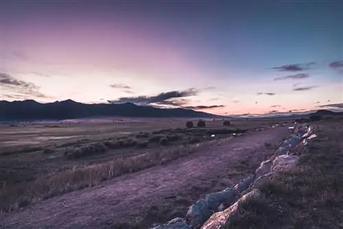 Сумерки в мокрой горной долине