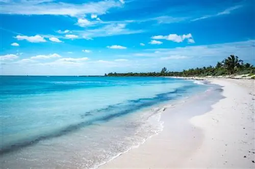 мексика пляж плайя дель секрето