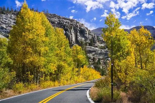Перевал Сонора - один из самых крутых уклонов шоссе в США.