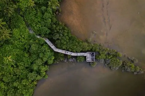 мальдивы адду парк вид с воздуха